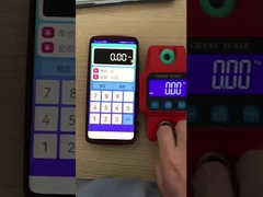 Crane Scale  USB Rechargeable Electronic