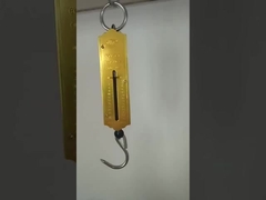 Hanging scale 12-200Kg