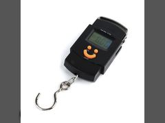 Hanging scale 50kg_handheld