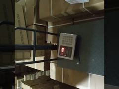 Checked Plate Pansize 30*40cm 300kg Digital Platform Scales with Model and AC Rechargeable Battery