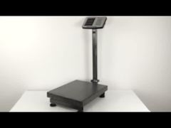 Platform Scale Stents